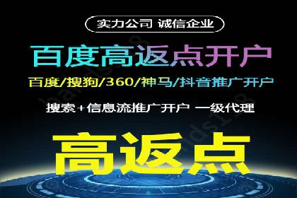 SEM搜索引擎优化：广告创意的策划与执行